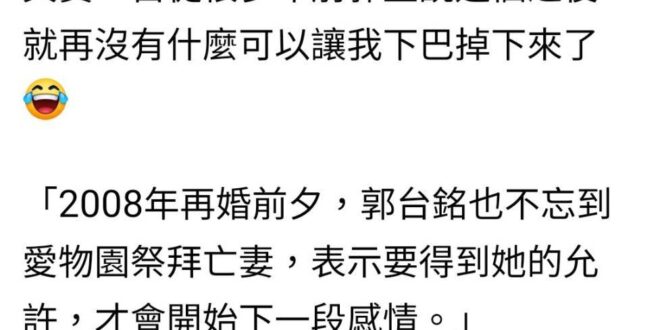 817的腦就是癌細胞
 拿人家過世妻子做文章
 對必勝擁小三與王八千房客的精采快意人生
 全裝屎
 許美華 #人一綠腦就...