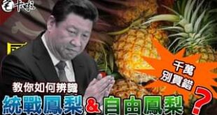 徹底解密  統戰鳳梨&自由鳳梨  的差別
 PS: 沒被民主的話
 如何加入會員 :
 1. 請點選以下連結
 ...