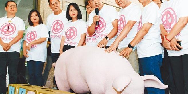 民團憂心 政府藉疫情沒收公投 - 政治要聞