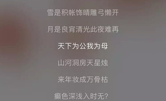 趙：中共主張一國兩制，你也講統一，統一後你的主張是什麼？
 張：我主張「天下為公」
 趙：怎麼樣天下為公？
 張：就是「...