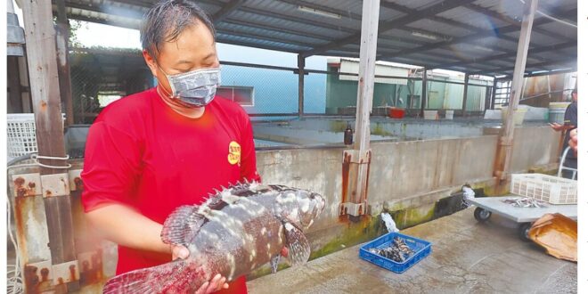 遇到抵制，除了怒斥「中國抵制」以及「大撒幣」之外，到底有沒有其他方法可以本質性的改善台灣產業的體質？
 #農委會 
 #...