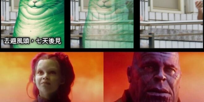 What did it cost?
花了多少錢?原文：英文