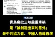 原來車禍是「被創造出來的意外」，都是中共協力者自導自演。

已經破案了，青鳥同溫層堪稱人均柯南。