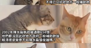 台獨金童不如貪污水扁