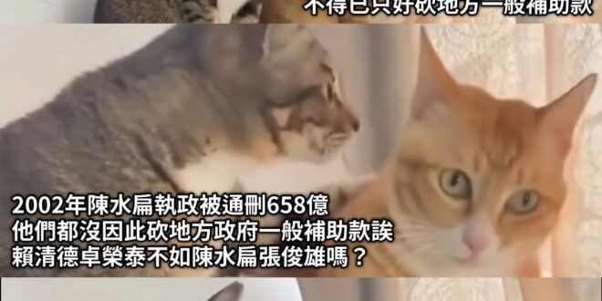 台獨金童不如貪污水扁
