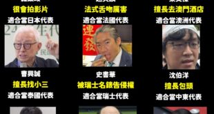 好了，按照林昶佐的標準，各國代表民進黨都有人才，台灣外交將走向世界