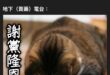 所以人家挺黨挺到一堆人洗腎都是有原因的