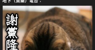 所以人家挺黨挺到一堆人洗腎都是有原因的