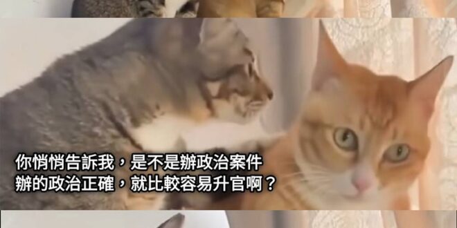自製迷因
悄悄話

一樣 空白模板放留言