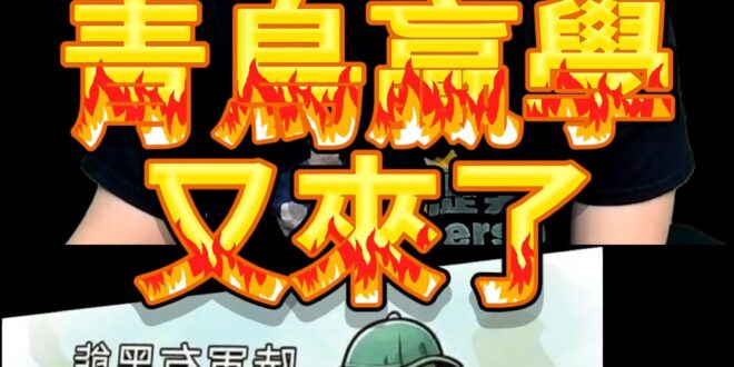 囉啵囉！「改路名」創造經濟奇蹟！青鳥贏學！【歷史哥快報｜李易修】