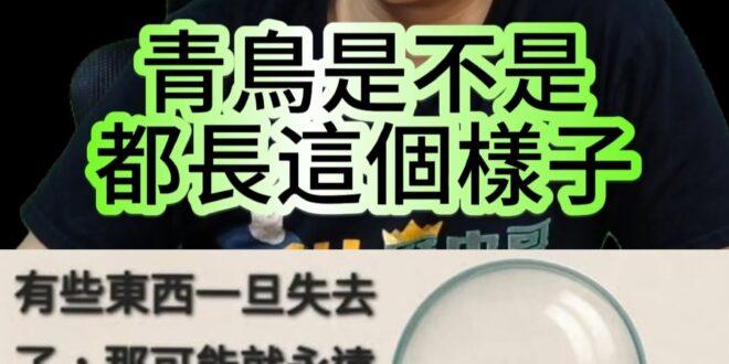呦呼咕金頭殼！最強的防禦就是「零領域」！【歷史哥快報｜李易修】