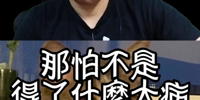嘟呼哩金無患！以為是SSR！結果只是普卡！【歷史哥快報｜李易修】