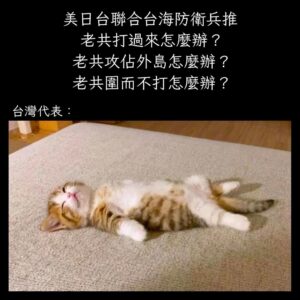 ⋯⋯？