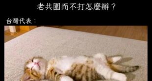 ⋯⋯？