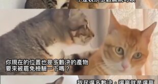 來嘛！很刺激喔！