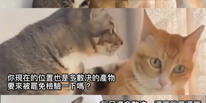 來嘛！很刺激喔！