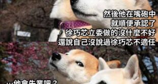 嘿嘿