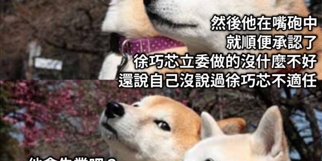 嘿嘿