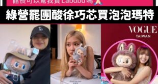恭喜綠營罷團得罪了全台灣喜歡買泡泡瑪特的人，也讓所有要去看BLACKPINK也變成中共同路人，得罪所有粉絲。

首先，泡...