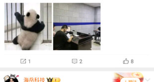 每個地方有每個地方的規定，跑到別人家去鼓吹當地違法行為還洋洋得意，這種騷操作我是真的難以理解。
更難理解的是竟然有人因為...