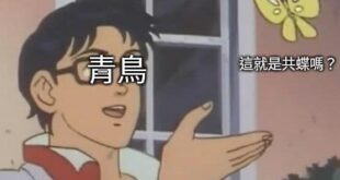 每天被threads 推送的內容