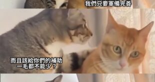 讀心術