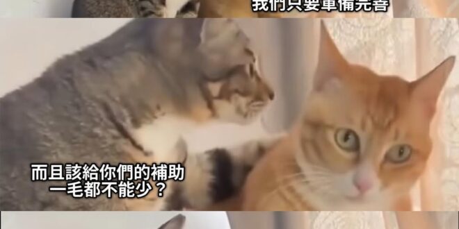 讀心術