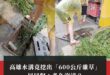高雄國的朋友你們那邊水溝是當市民農園在使用，開放申請耕作的嗎？