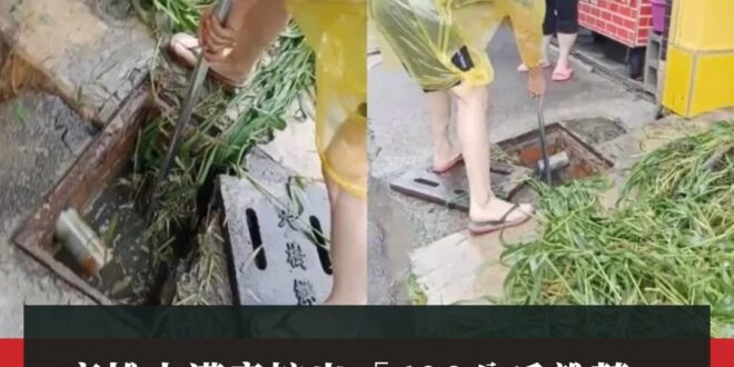 高雄國的朋友你們那邊水溝是當市民農園在使用，開放申請耕作的嗎？