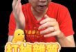 噹噹咕咕！打出雜質！純化傻鳥！【歷史哥快報｜李易修】