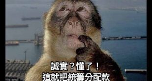 (Facepalm)