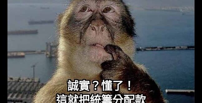 (Facepalm)