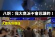 大鷹派掌門人八炯宣布「珍重再見」，從大罷免大成功轉型為「大罷免大落跑」。

留下一堆傻鳥在原地喊加油、自我安慰。

哈哈…