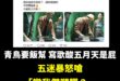 已檢查過，這位五月天粉絲平時只發文關注五月天跟一些藝人，發文砲轟青鳥要飯音樂人後，瀏覽次數已高達十六萬。

有一些五月天…