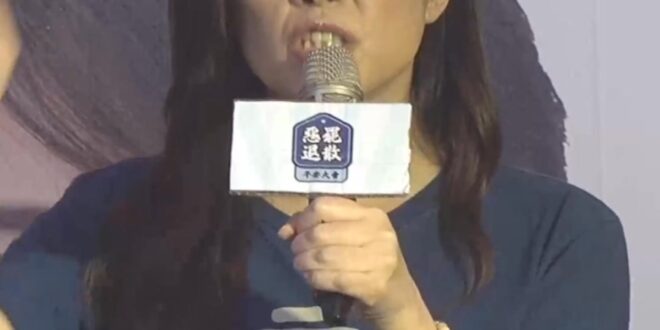 咚咚咚！黨外大團結！一起來說不！【歷史哥快報｜鄭麗文、李易修】
