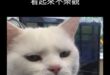 …………

公投在公投當天還可以宣傳
麻煩各位還是call一下親朋好友幫個忙
核三延役公投投同意