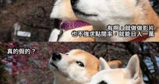 ⋯我每個月辛辛苦苦送冷氣
還沒他一週五個工作日賺得多