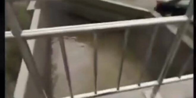 台南里長狂罵政府很爛「還要百姓自己開水門」