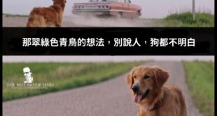 四千億蓋核四廠是浪費，11億公投救核三是浪費
廢核後，年年給台電千億去買貴的綠電就不浪費？