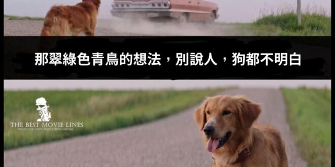 四千億蓋核四廠是浪費，11億公投救核三是浪費
廢核後，年年給台電千億去買貴的綠電就不浪費？