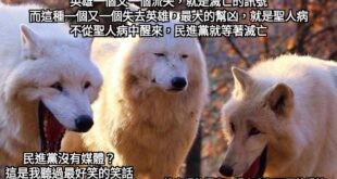 感謝你在我上班前帶給我的歡樂