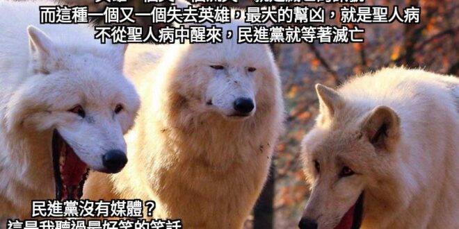 感謝你在我上班前帶給我的歡樂