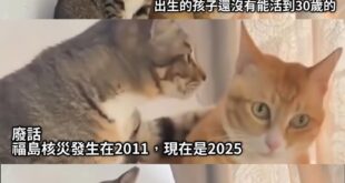 數學不會就是不會