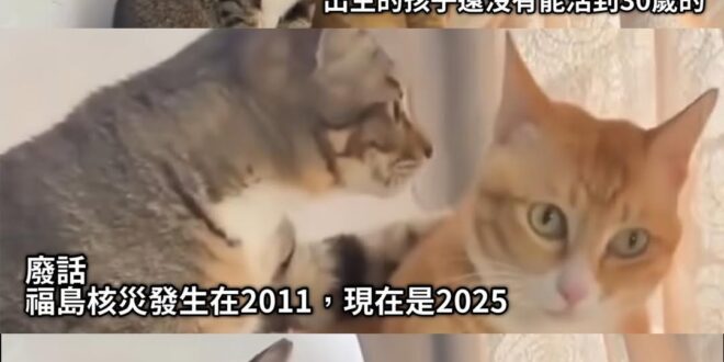 數學不會就是不會