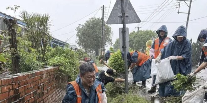 最早貼這張圖的陳柏惟都 #已經公布行程通知把表演時間地點及主演資訊寫這麼明白了，下面打輔助的青鳥還硬要歪去演「民進黨為善…