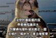 然後被藍營美女發言人直接拿來爽快一口乾

還反酸說「水很甘甜，真的謝謝」
並對喊「公投投同意，能源更有力。」