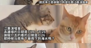 連日期都搞不清楚 悲傷五階段還沒走出來？