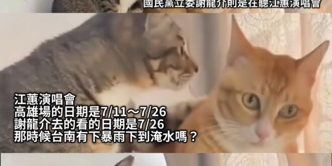 連日期都搞不清楚 悲傷五階段還沒走出來？