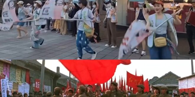 青鳥跟紅衛兵87分像