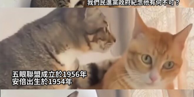 兩歲兒童能促成五眼聯盟 也真的是厲害